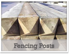 Fencing Posts